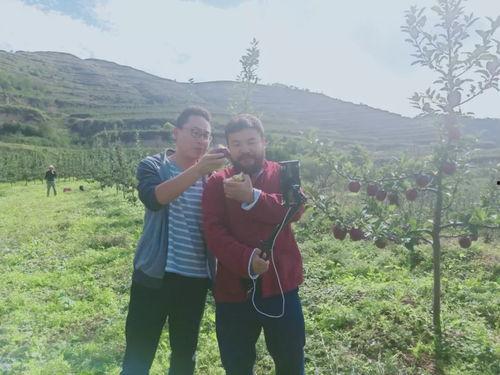 礼县吃瓜网红事件始末视频,一场网络舆论的风暴与反思