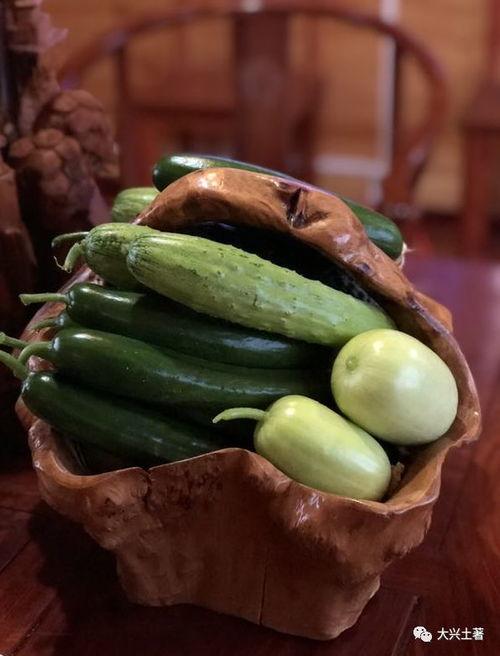 网红吃瓜内幕,揭秘网红吃瓜背后的惊人内幕