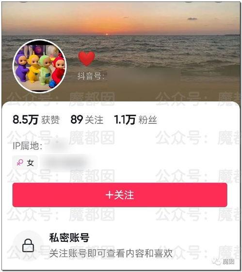 吃瓜网红网页,揭秘网络红人的幕后生活与影响力