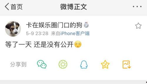 吃瓜爆料达人都有谁,那些吃瓜爆料达人背后的故事