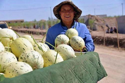 甘肃籍网红吃瓜